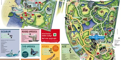 Mapa zoo w Rotterdamie 
